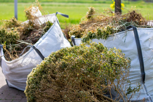 Best Electronics Removal Services  in Hydesville, CA