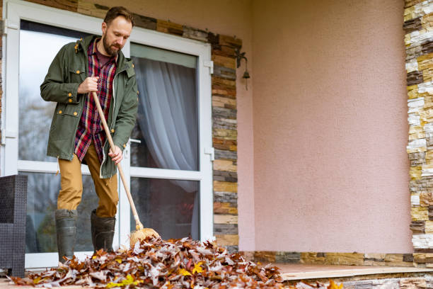 Best Basement Cleanout Services  in Hydesville, CA